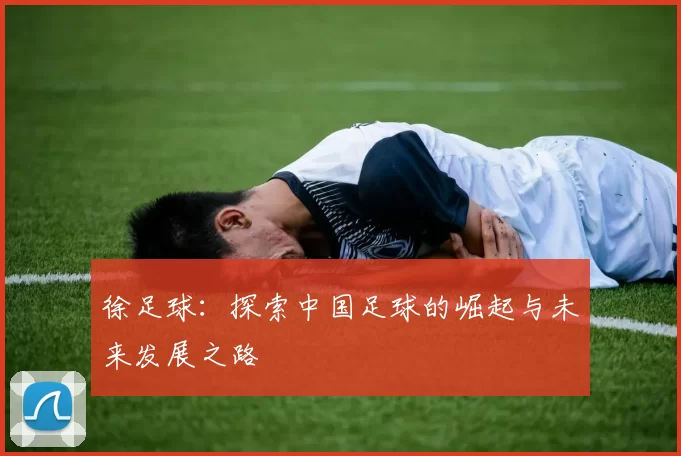 徐足球：探索中国足球的崛起与未来发展之路