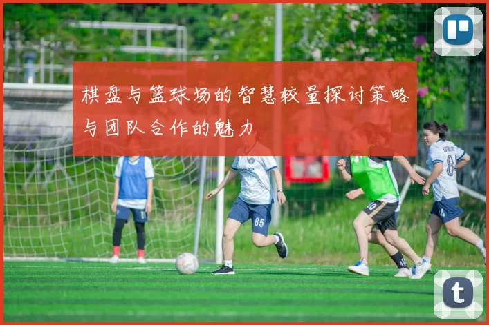 棋盘与篮球场的智慧较量探讨策略与团队合作的魅力