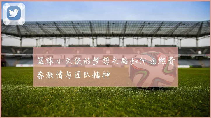 篮球小天使的梦想之路如何点燃青春激情与团队精神