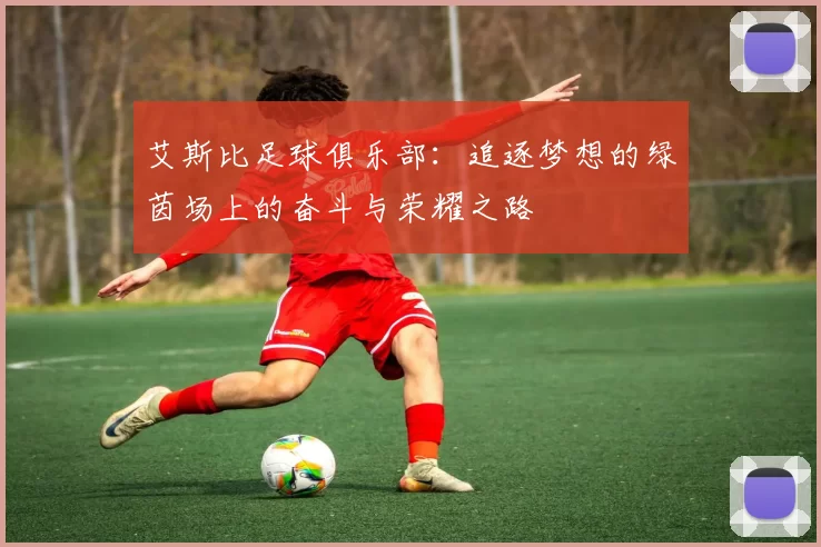 艾斯比足球俱乐部：追逐梦想的绿茵场上的奋斗与荣耀之路