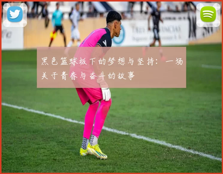 黑色篮球板下的梦想与坚持：一场关于青春与奋斗的故事